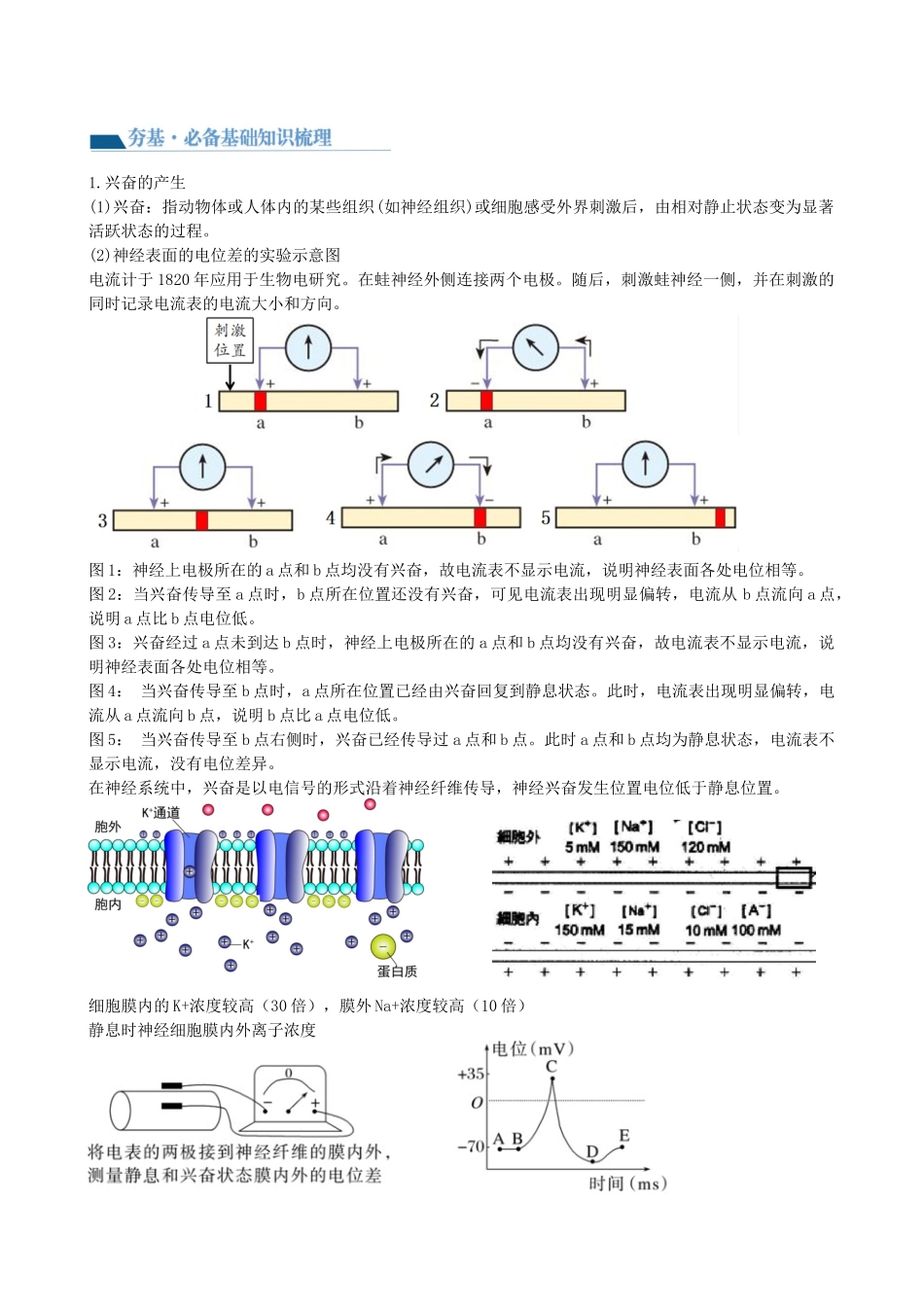第26.2讲 神经冲动的产生、传导和传递(讲义)(教师版).docx_第2页