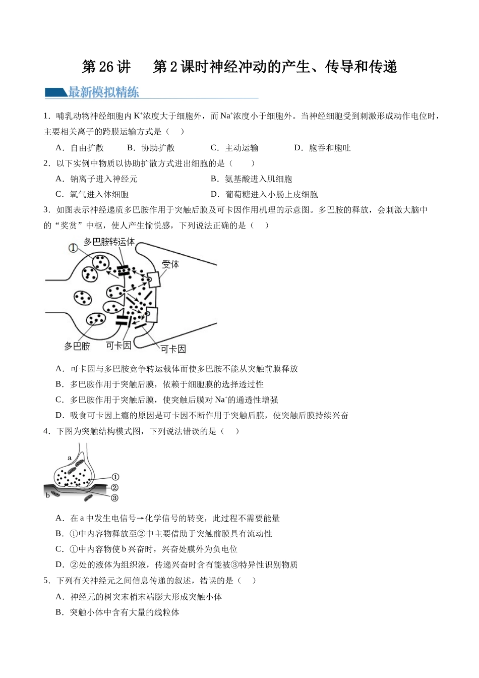 第26.2讲 神经冲动的产生、传导和传递(练习)(原卷版).docx_第1页