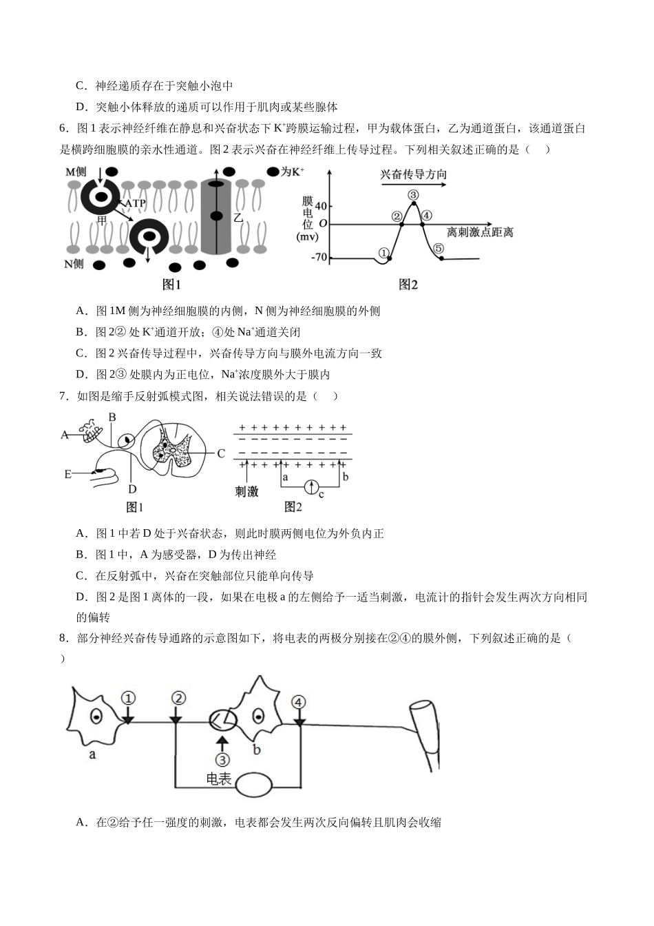 第26.2讲 神经冲动的产生、传导和传递(练习)(原卷版).docx_第2页