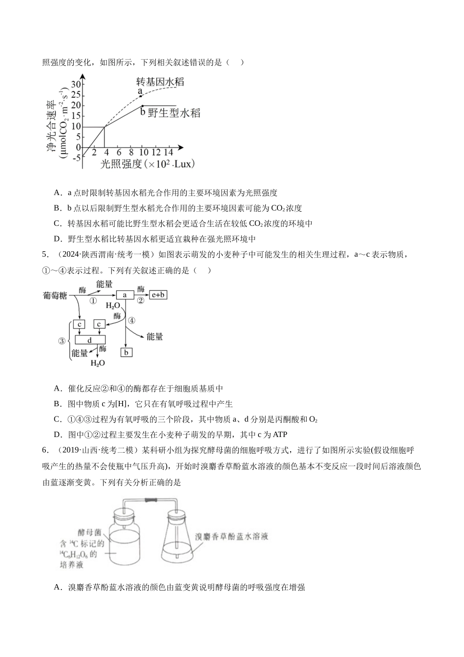 专题02 细胞的能量供应与利用(分层练)(原卷版).docx_第2页