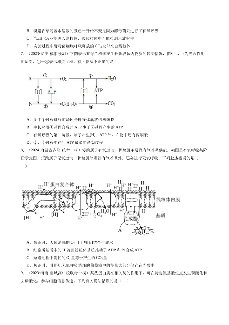 专题02 细胞的能量供应与利用(分层练)(原卷版).docx_第3页