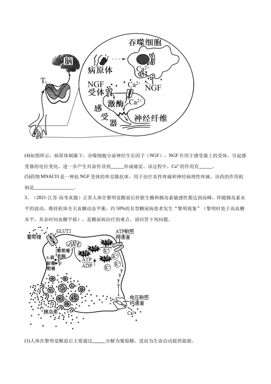 专题02 生命活动的调节(江苏卷)(原卷版) .docx_第3页