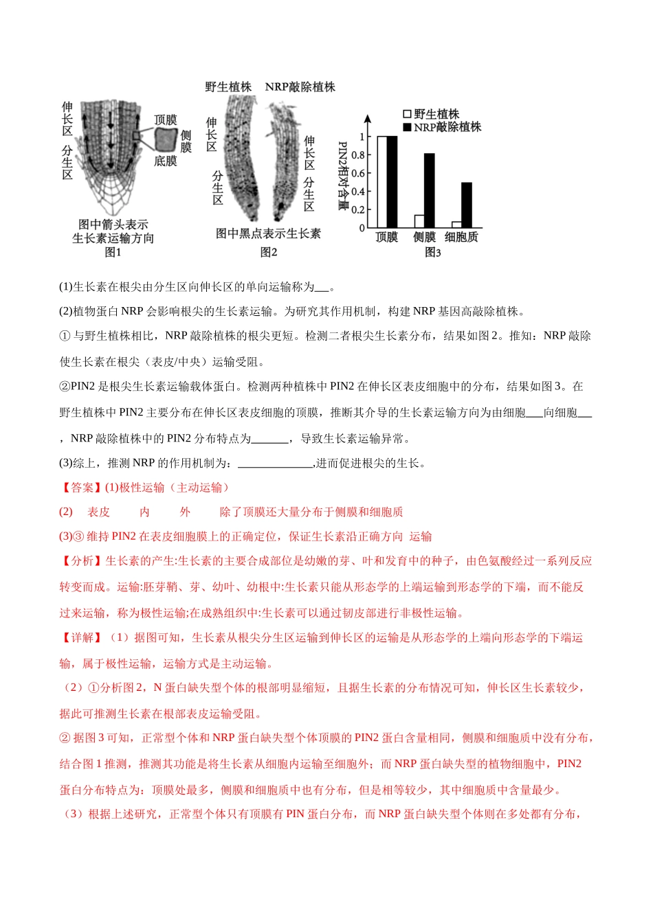 专题02 生命活动的调节（新高考通用）（解析版）.docx_第3页