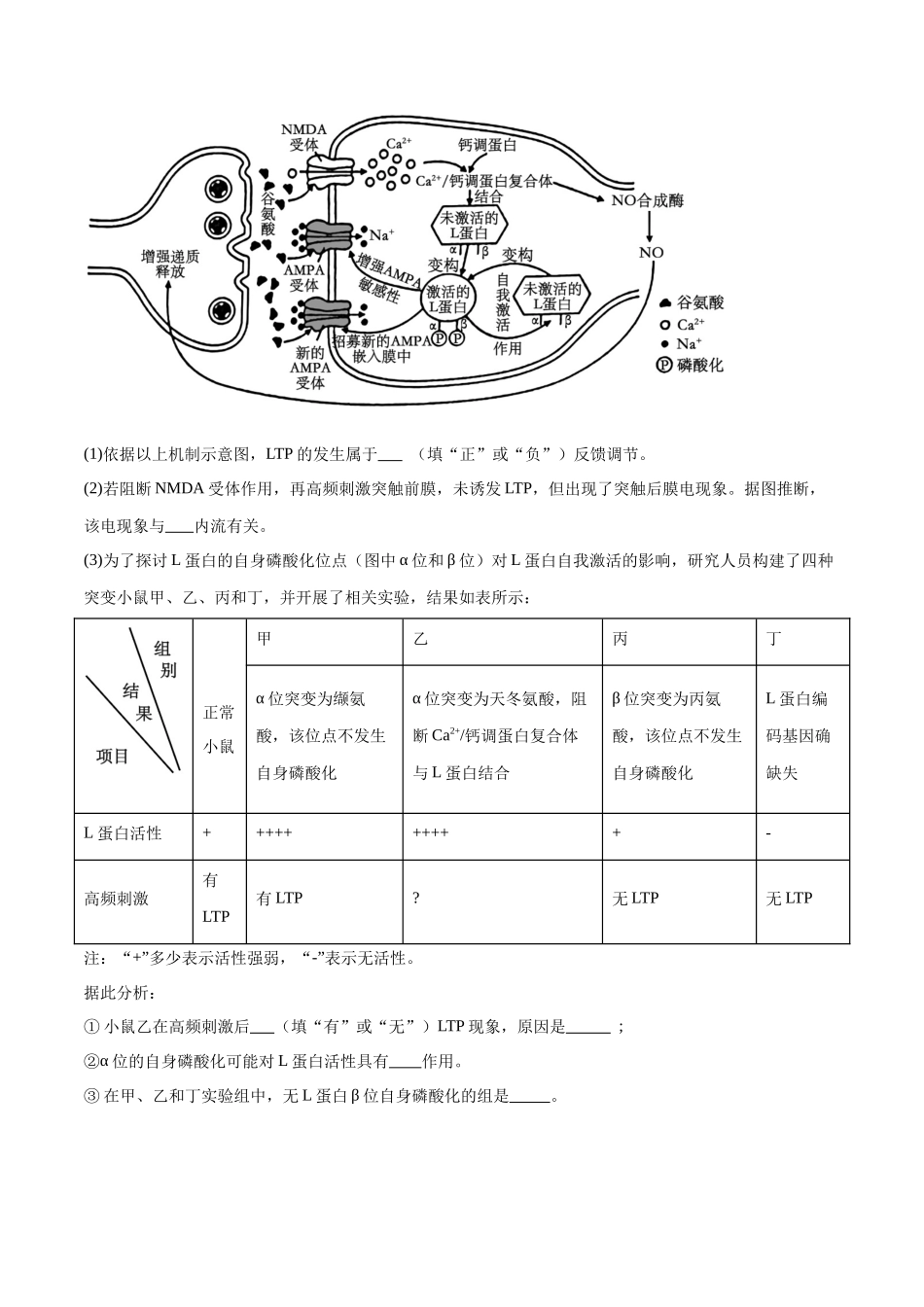 专题02 生命活动的调节（新高考通用）（原卷版）.docx_第3页