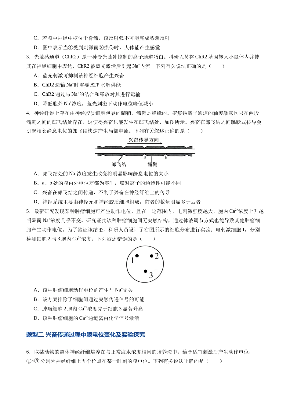 第28讲 神经调节 第2课时（专项训练）（福建专用）（学生版）.docx_第2页