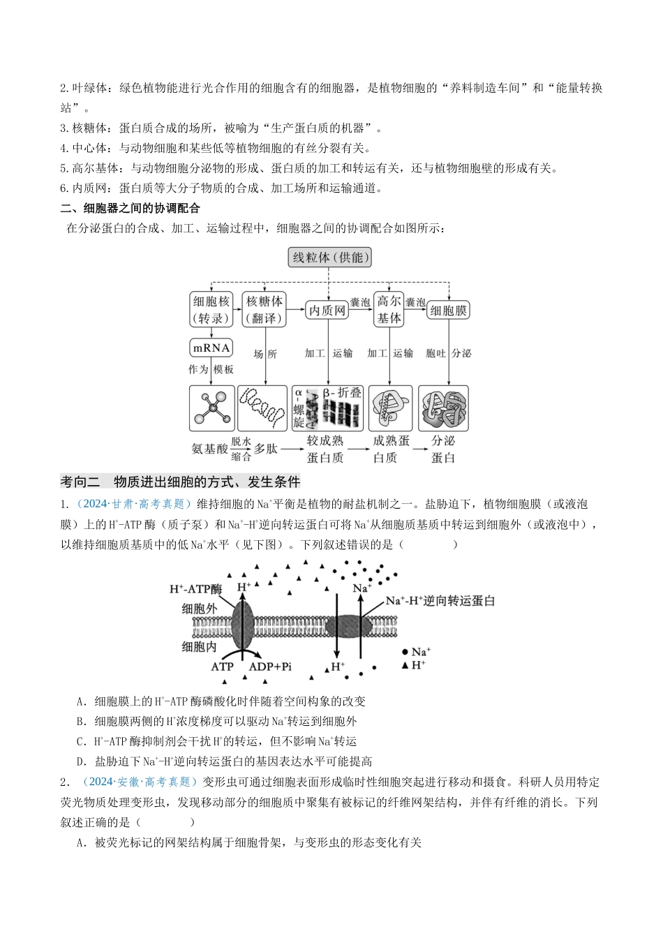 专题02 细胞的结构、功能及物质运输-（新高考通用）（原卷版）.docx_第3页