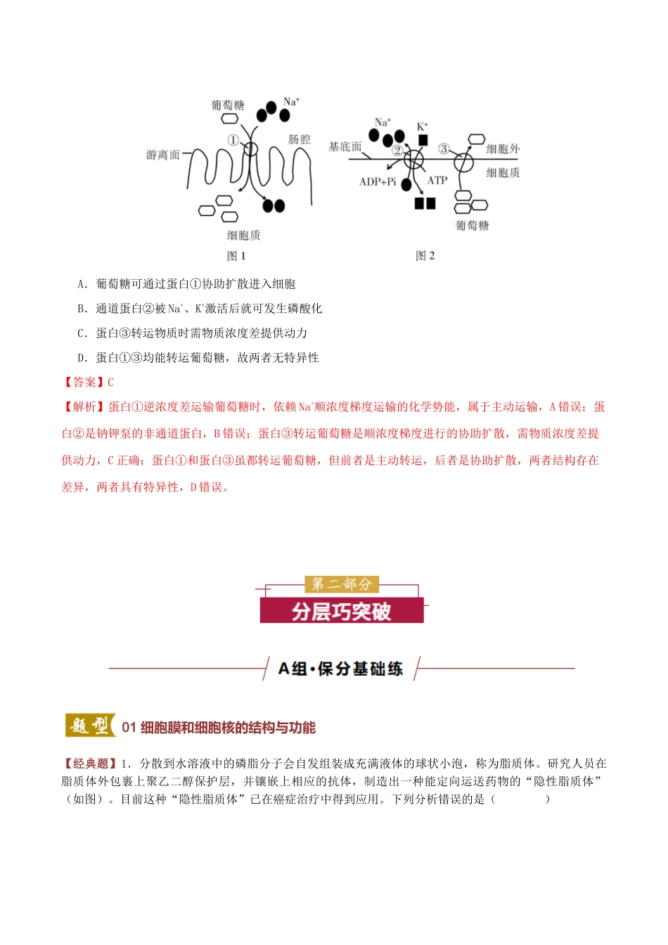 专题02 细胞膜和细胞核的结构与功能 (专题专练)(全国通用)(教师版).docx_第3页