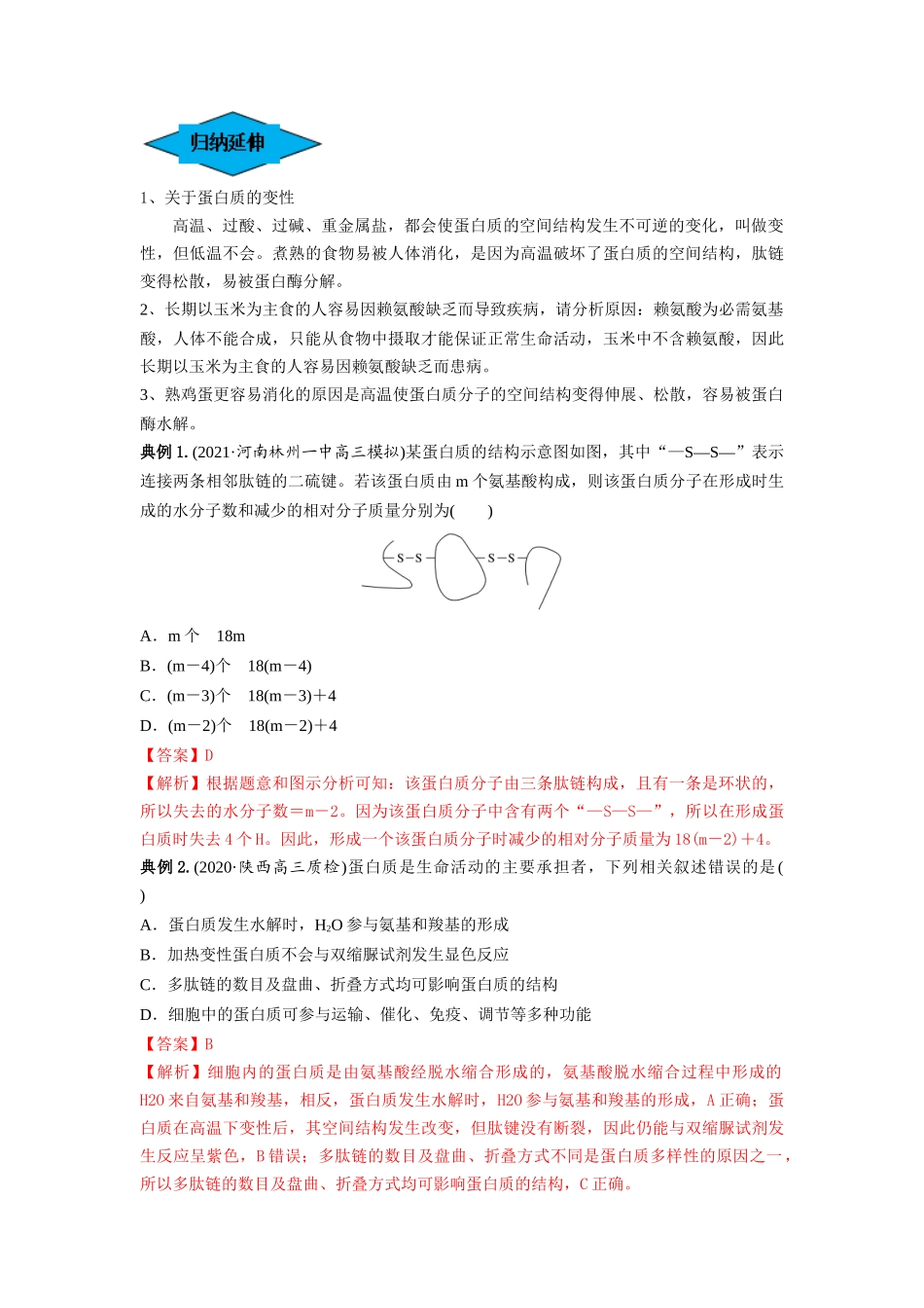 专题03 蛋白质和核酸(串讲)(解析版).docx_第3页