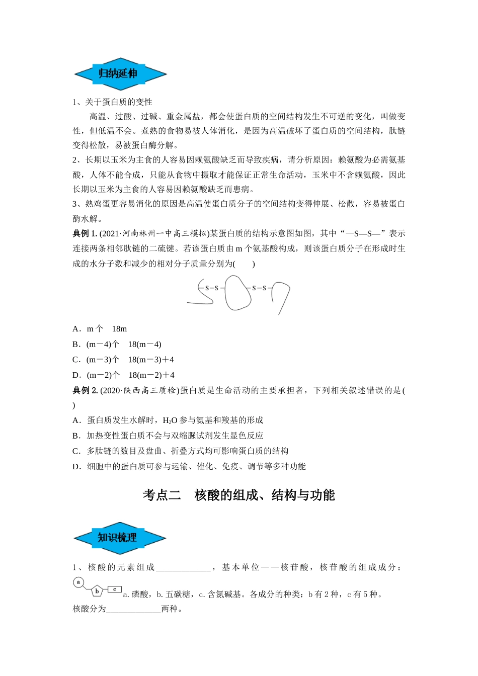专题03 蛋白质和核酸（串讲）（原卷版）.docx_第3页