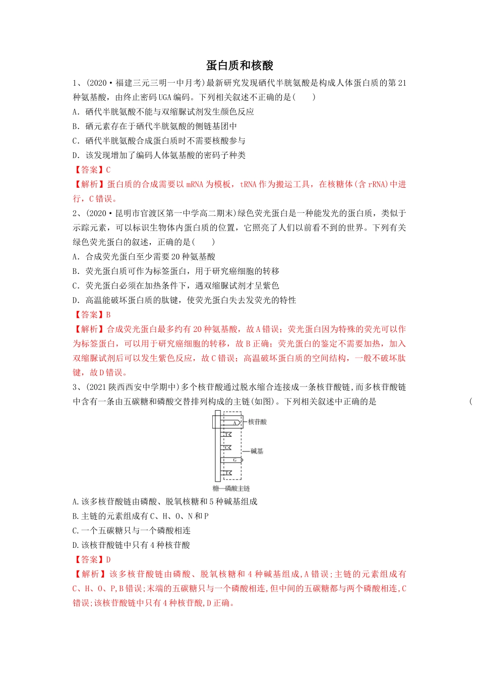 专题03 蛋白质和核酸（精练）（解析版）.docx_第1页