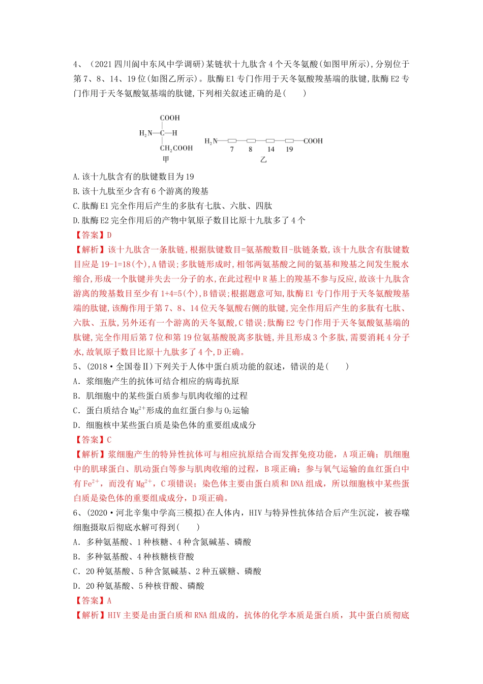专题03 蛋白质和核酸（精练）（解析版）.docx_第2页