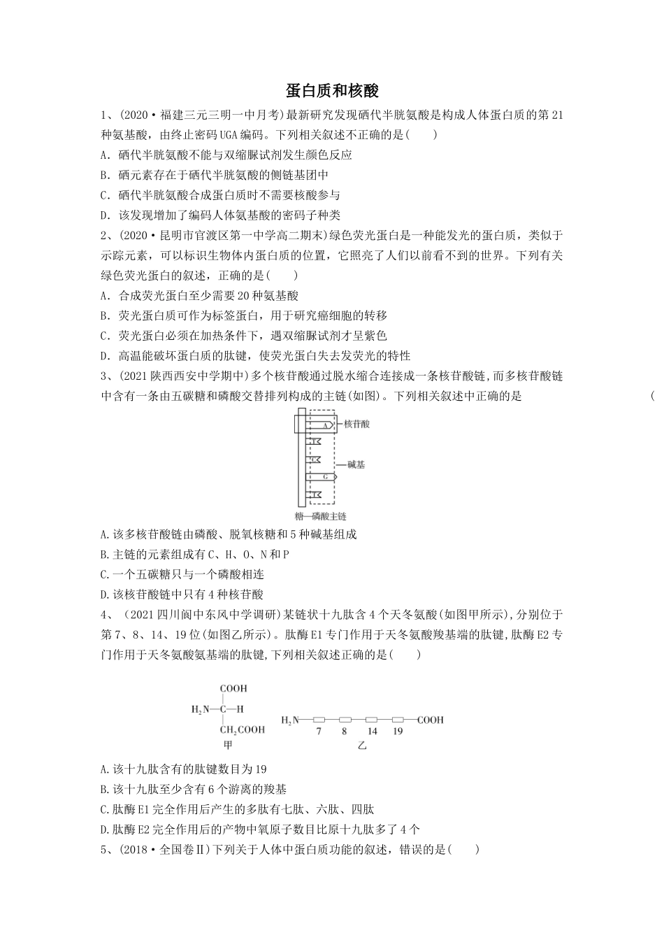 专题03 蛋白质和核酸（精练）（原卷版）.docx_第1页