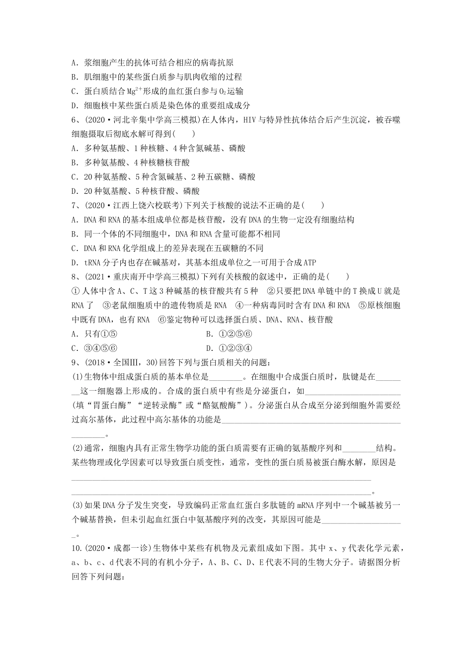 专题03 蛋白质和核酸（精练）（原卷版）.docx_第2页