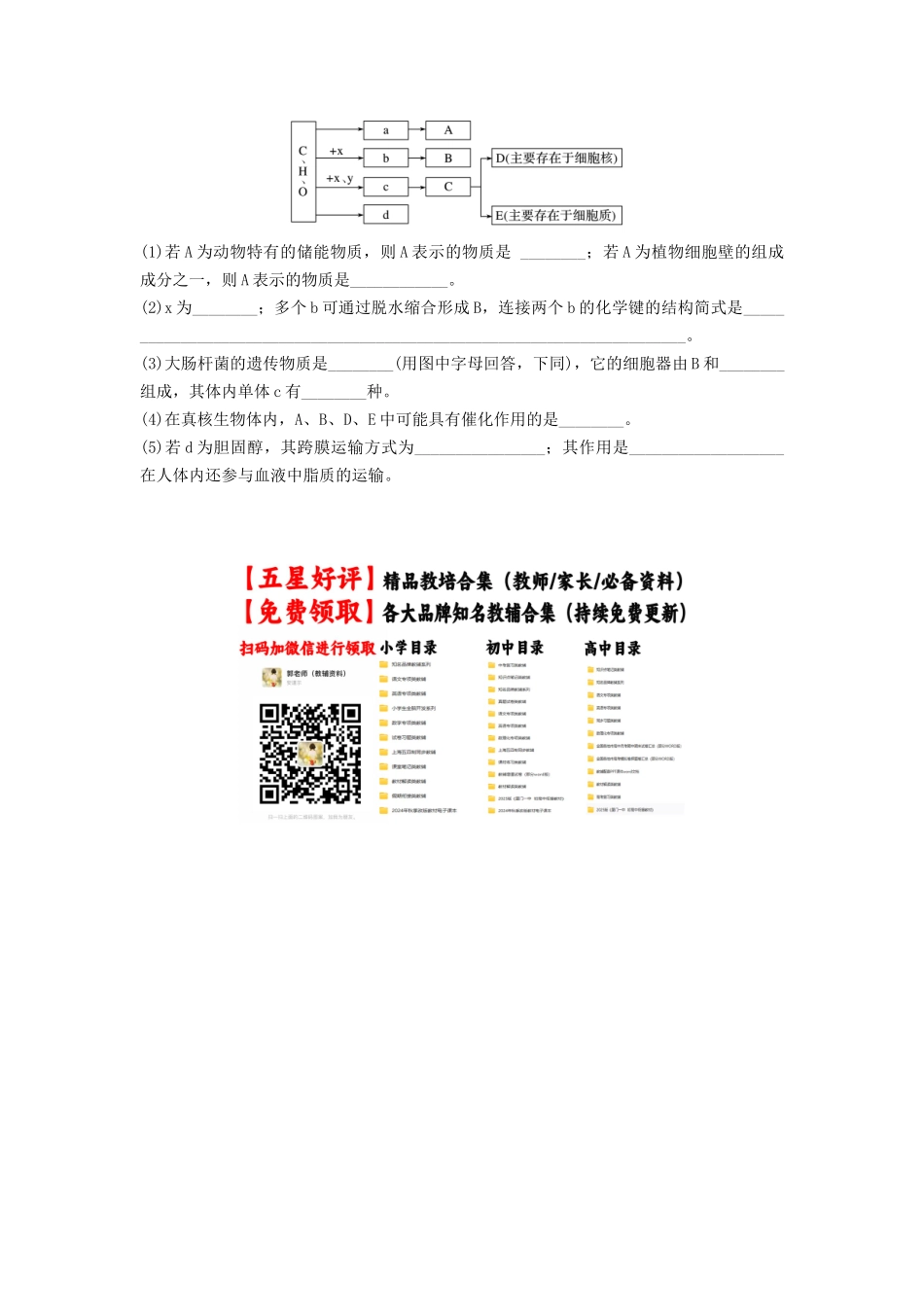 专题03 蛋白质和核酸（精练）（原卷版）.docx_第3页