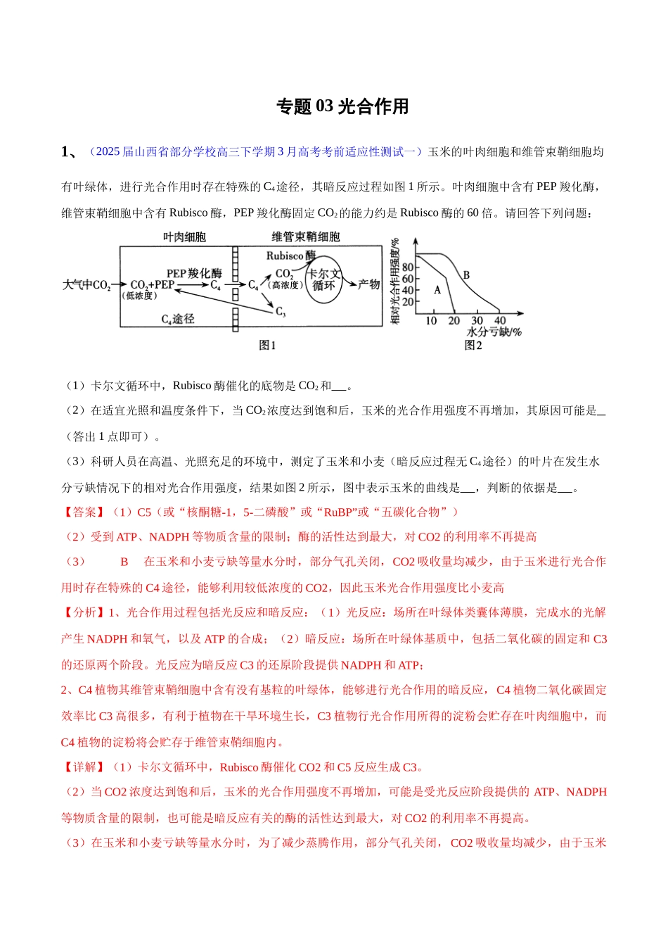 专题03 光合作用(教师版) .docx_第1页