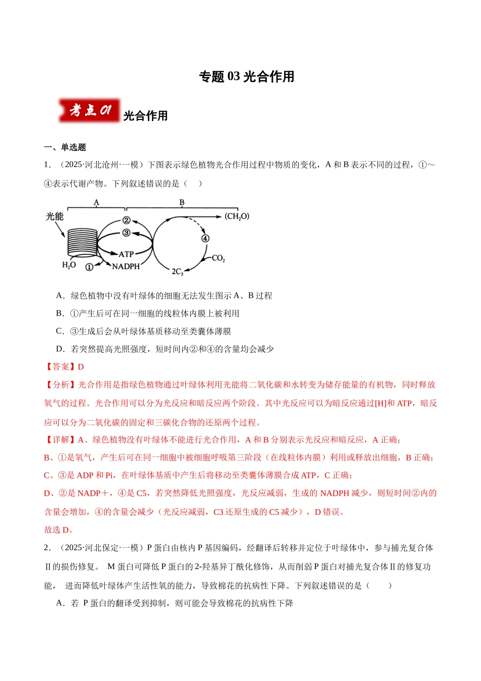 专题03 光合作用（教师版）.docx_第1页