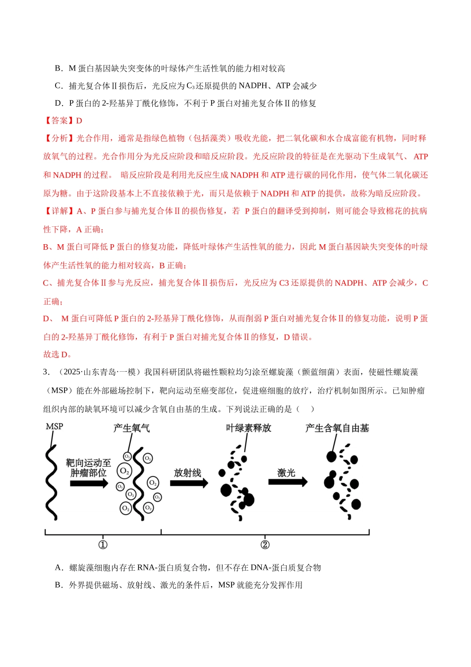 专题03 光合作用（教师版）.docx_第2页