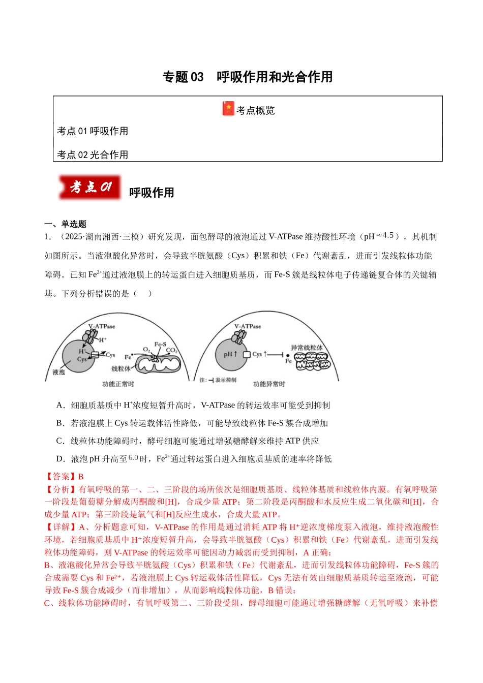 专题03 呼吸作用和光合作用(教师版).docx_第1页