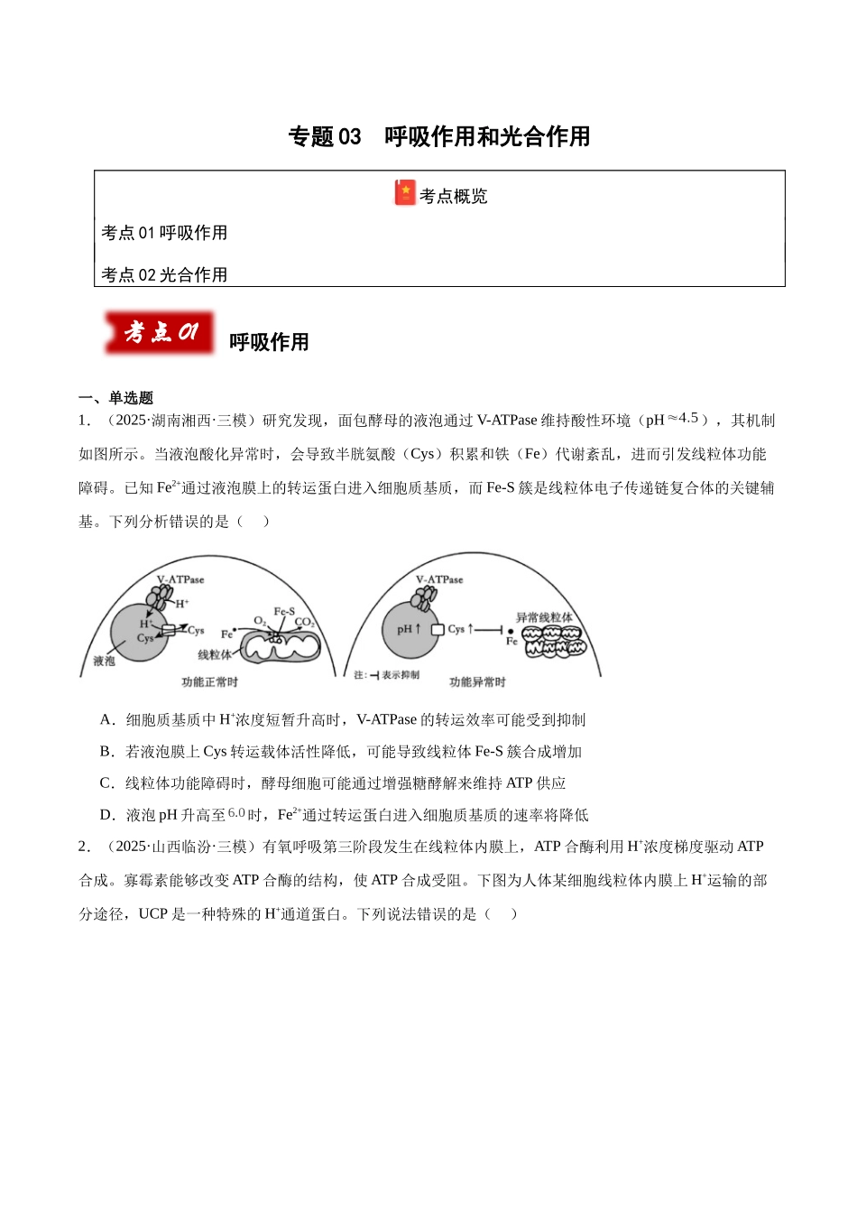 专题03 呼吸作用和光合作用(学生版).docx_第1页