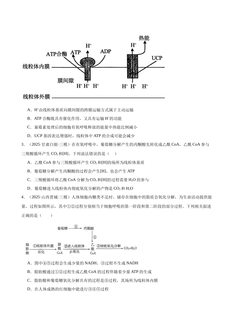 专题03 呼吸作用和光合作用(学生版).docx_第2页