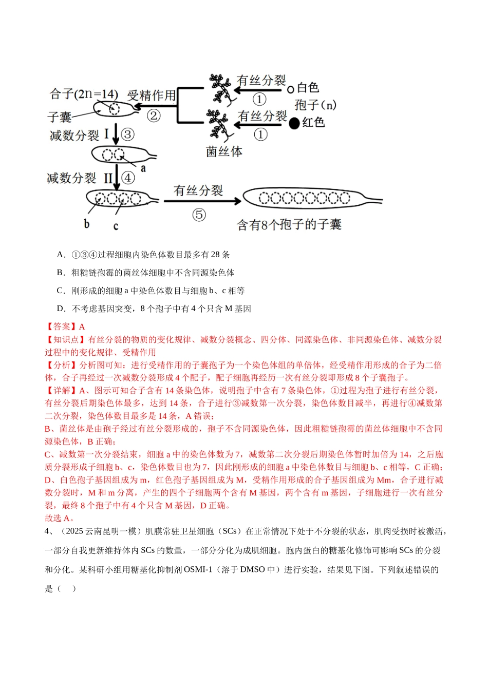 专题03 细胞的分裂与生命历程（教师版）.docx_第3页
