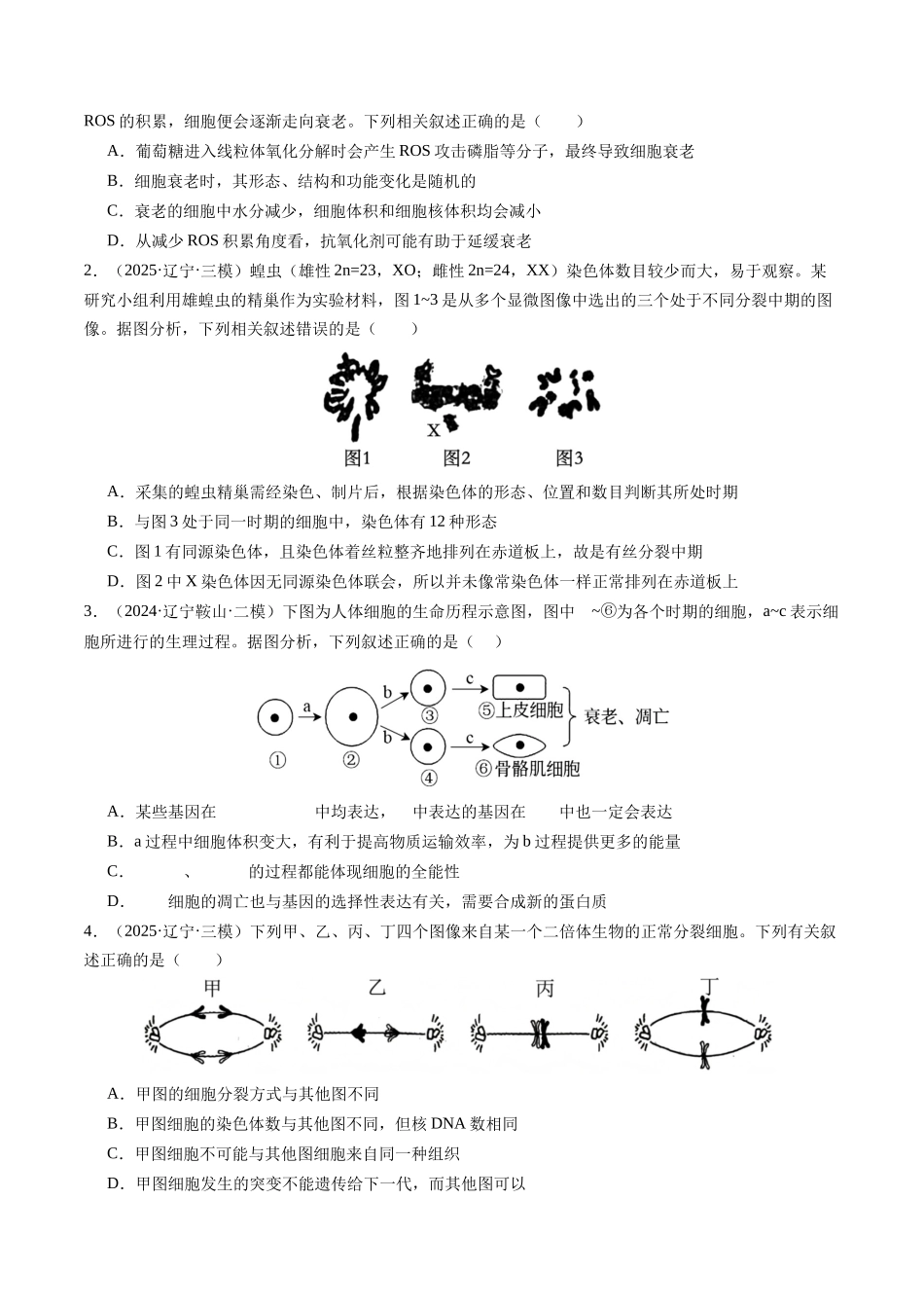 专题03 细胞的生命历程（学生版）.docx_第3页