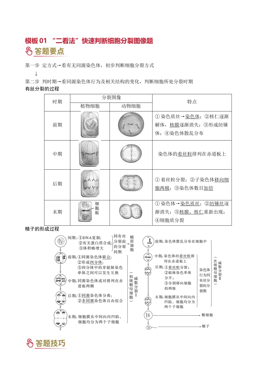 专题03 细胞分裂（教师版）.docx_第2页