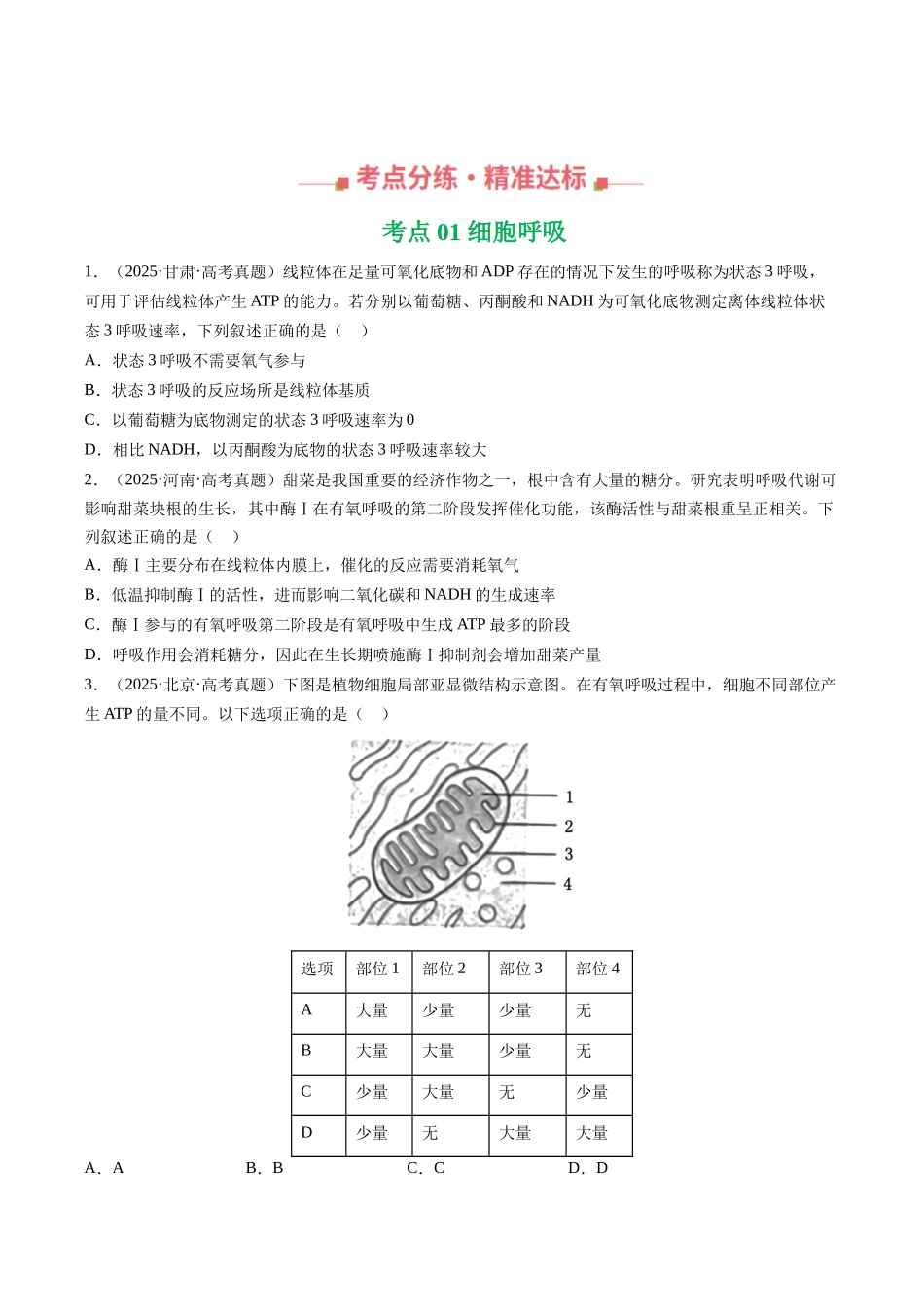 专题03 细胞呼吸与光合作用(全国通用)(学生版).docx_第3页