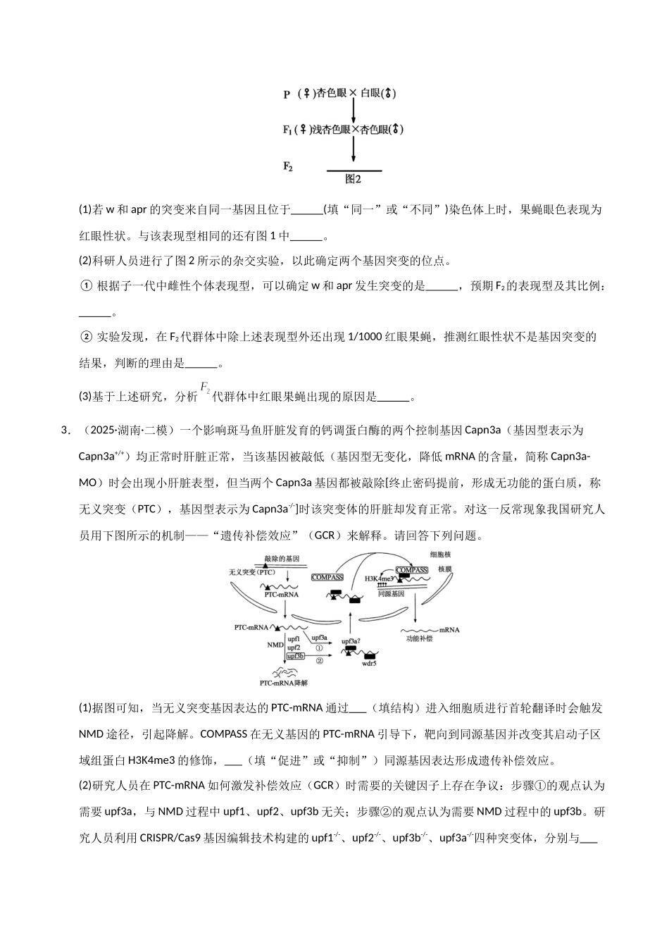专题03 遗传的基本定律和伴性遗传(学生版).docx_第2页
