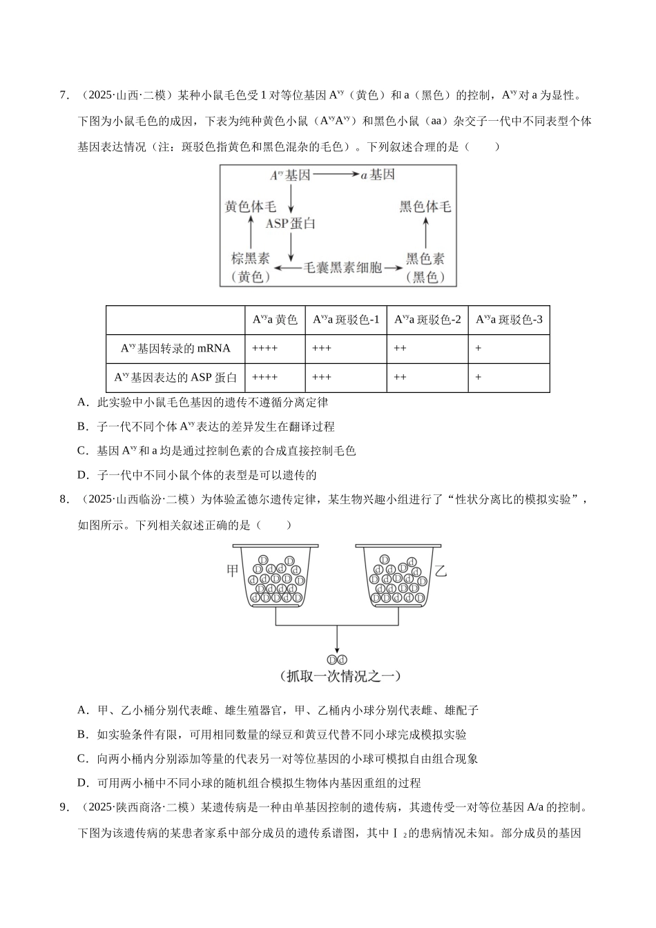 专题03 遗传的基本规律（学生版）.docx_第3页