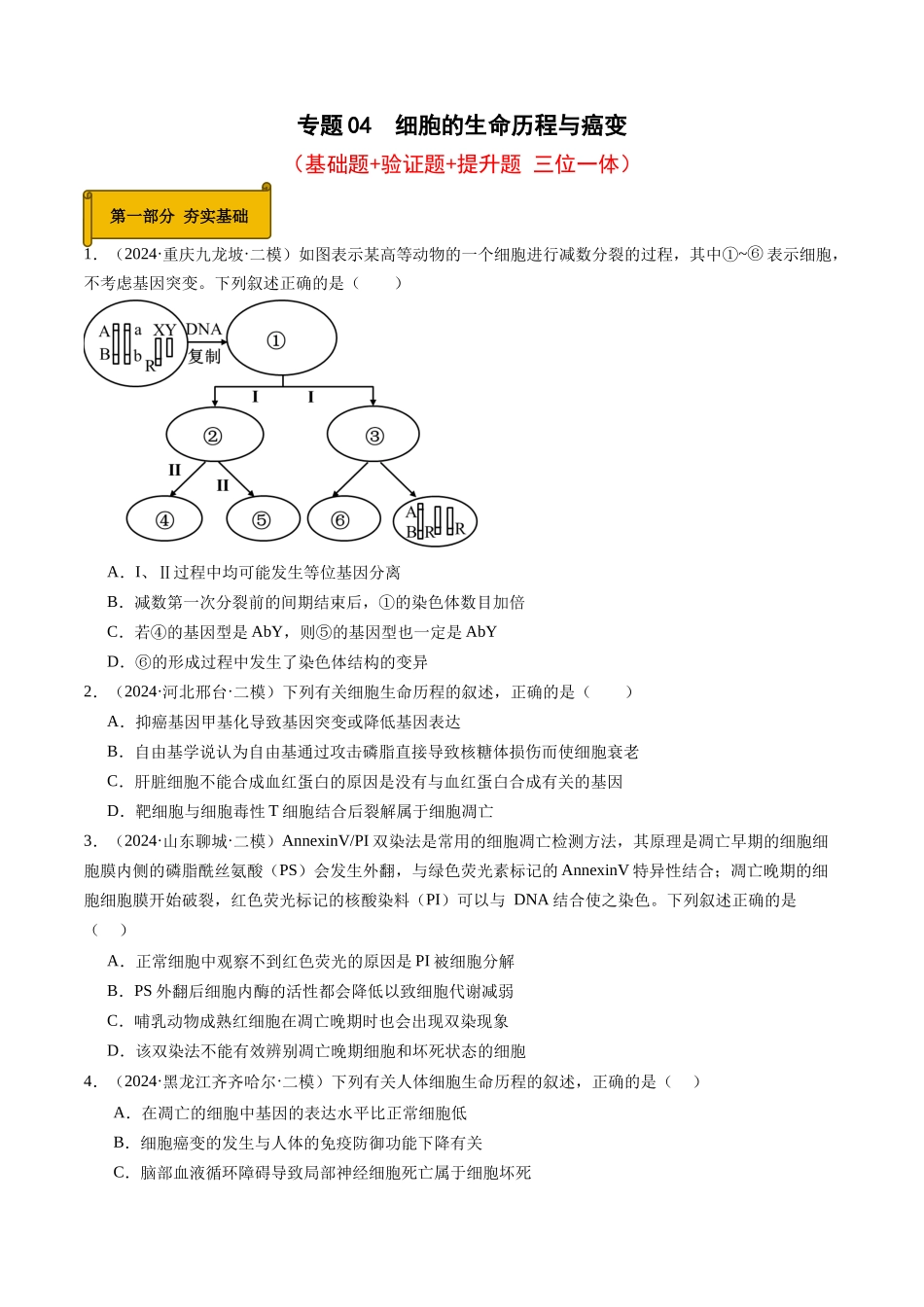 专题04 细胞的生命历程与癌变 (学生版).docx_第1页