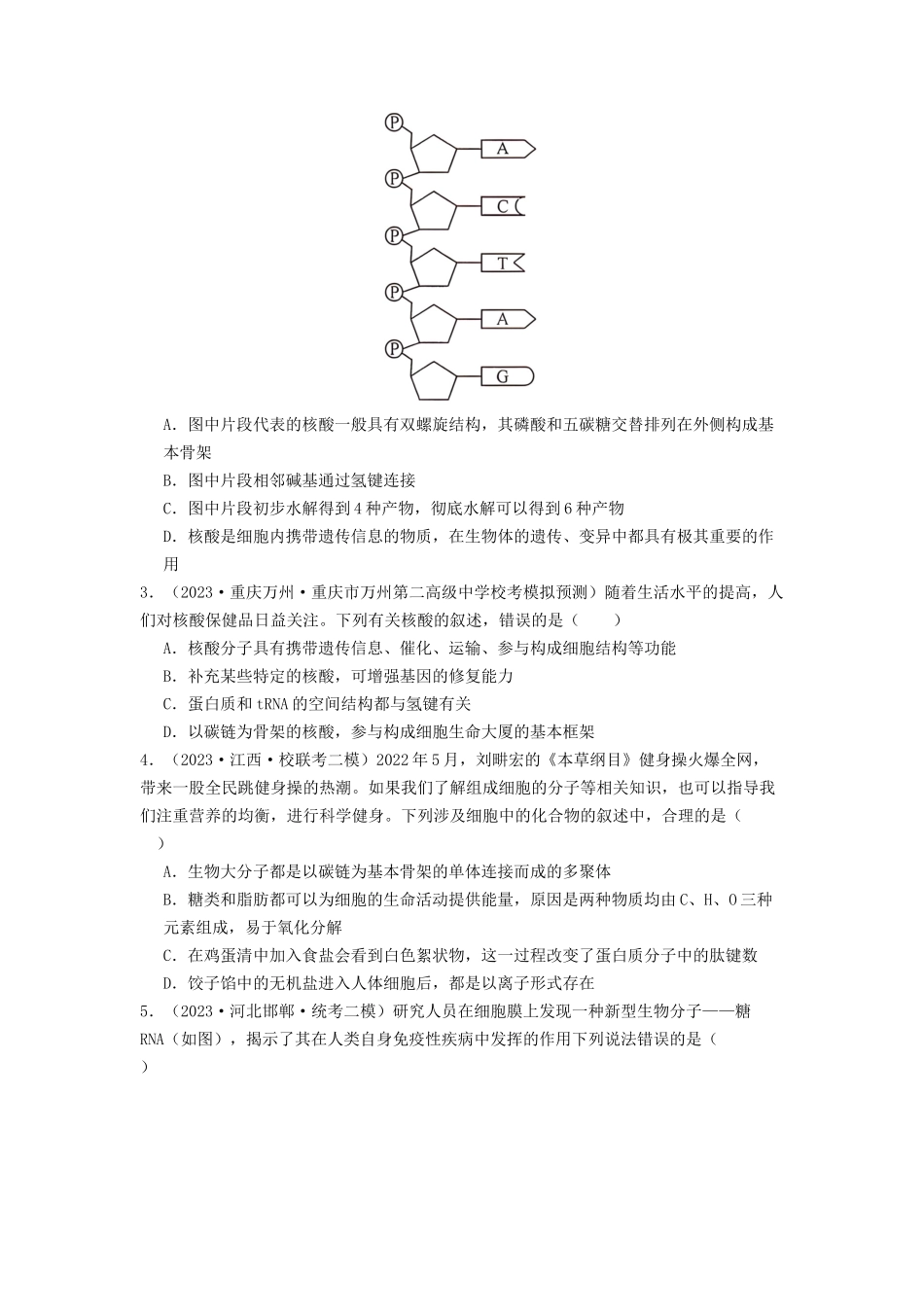 专题04 核酸（原卷版）.docx_第3页