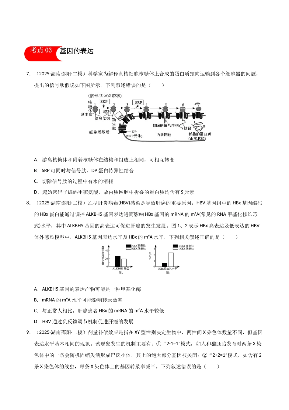 专题04 基因的本质和表达（学生版）.docx_第3页