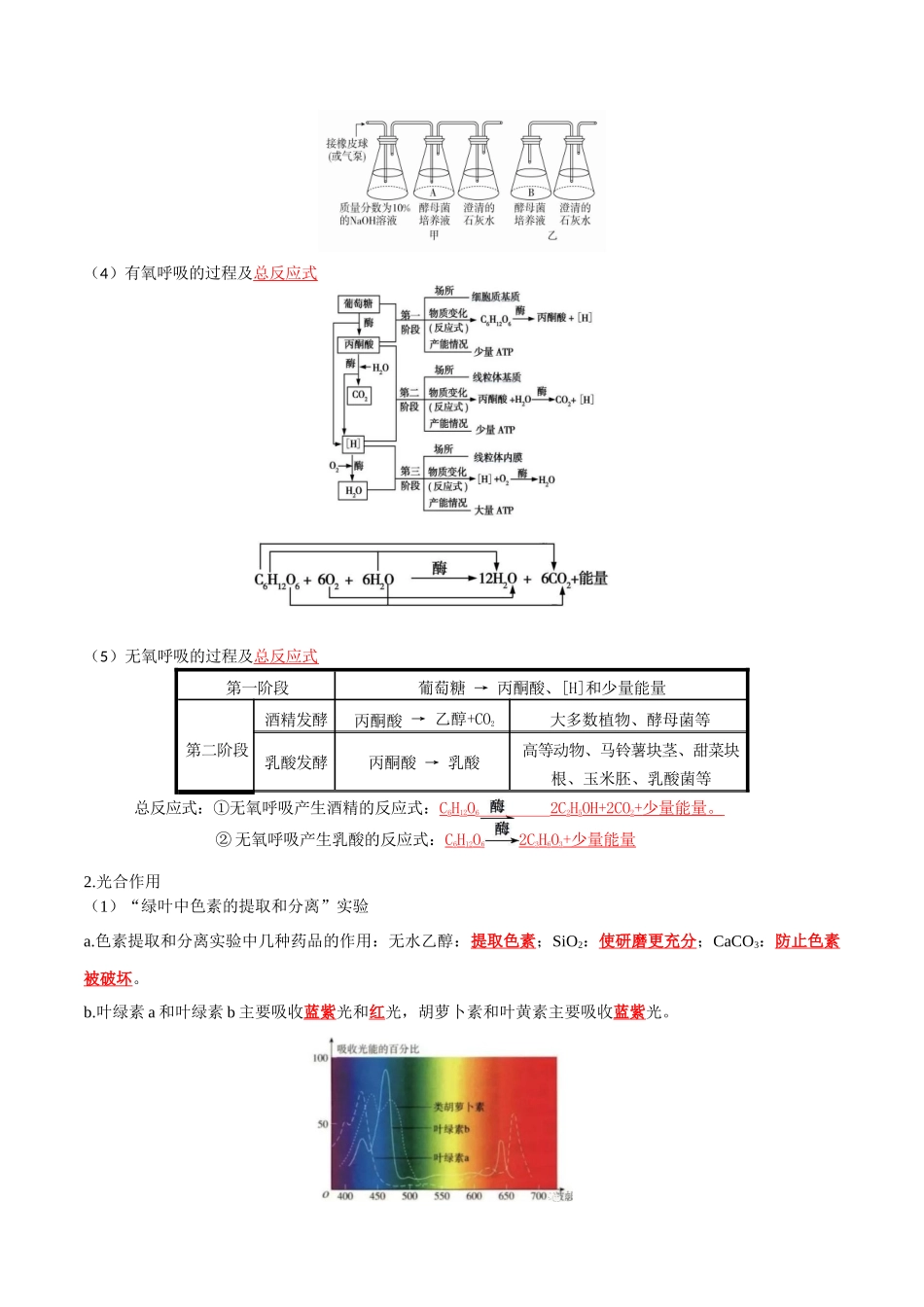 专题04 细胞的能量供应与利用(原卷版).docx_第2页