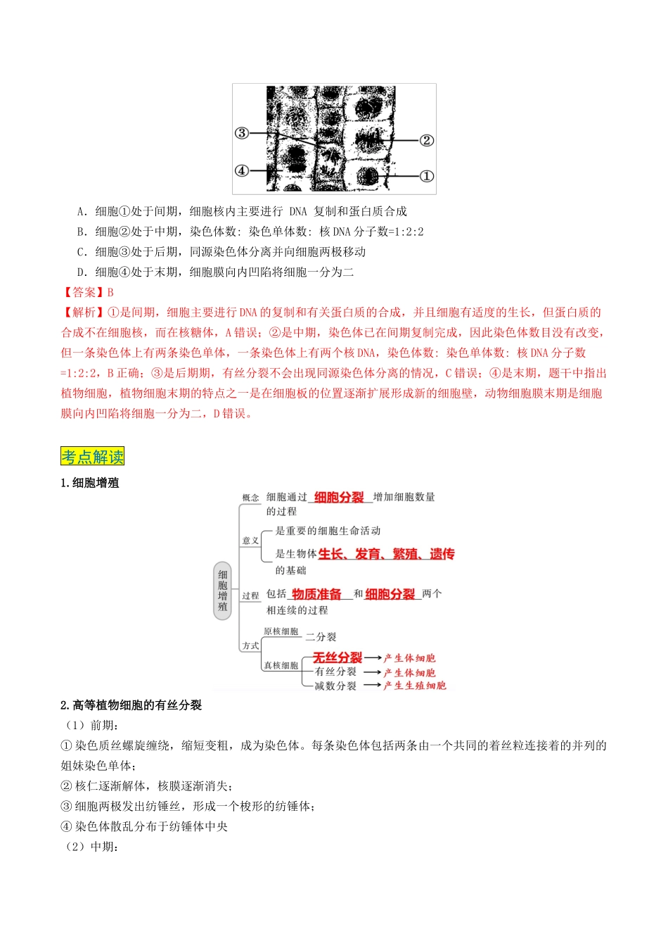 专题04 细胞的生命历程-(新高考通用)(教师版).docx_第3页