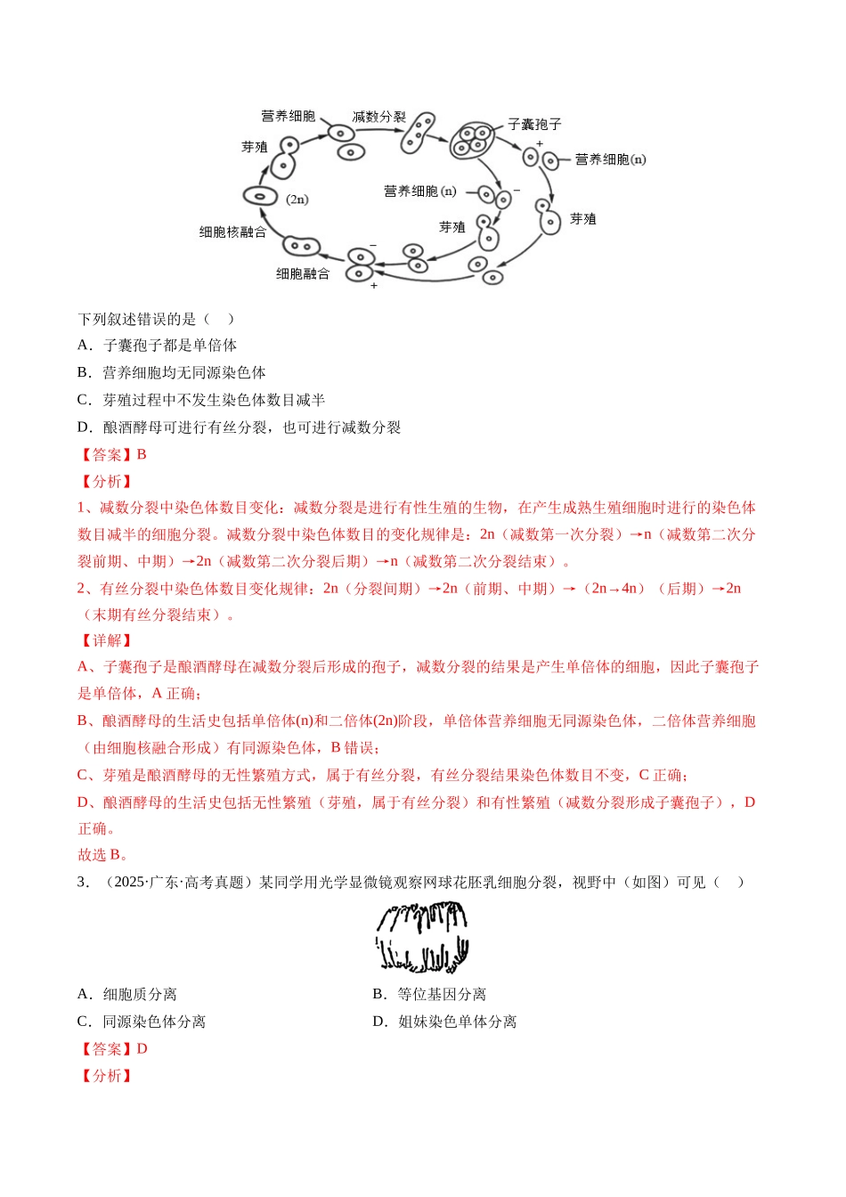 专题04 细胞的增殖和生命历程（全国通用）（教师版）.docx_第3页