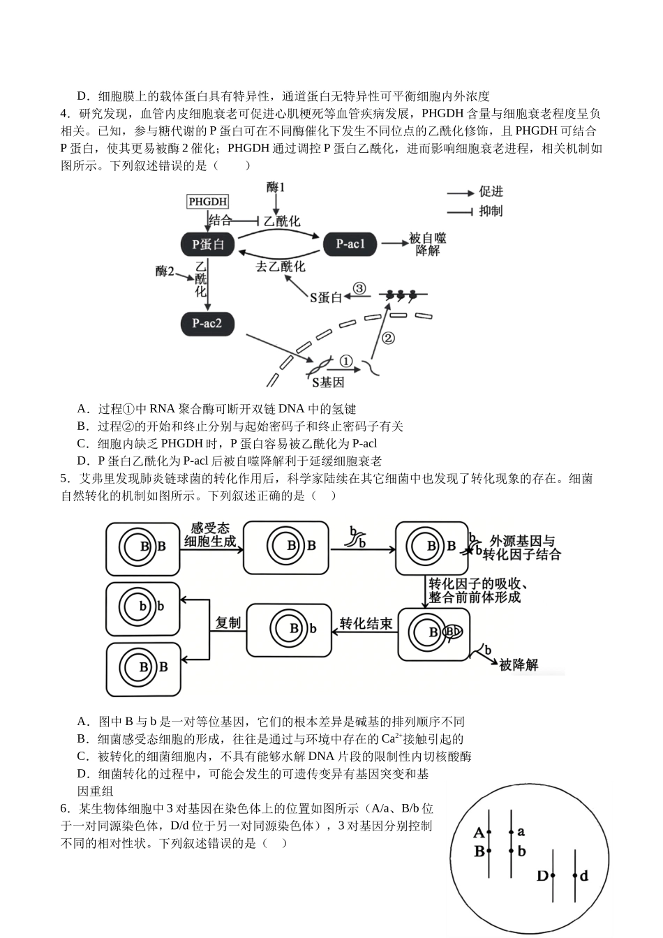 2026年普通高中学业水平选择性考试冲刺试题生物+答案.docx_第2页