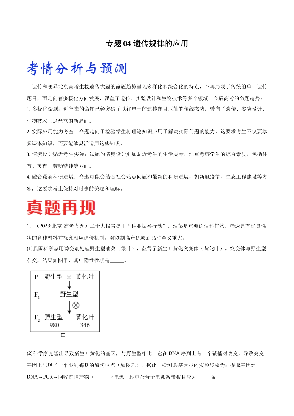 专题04 遗传规律的应用(北京卷)(解析版).docx_第1页