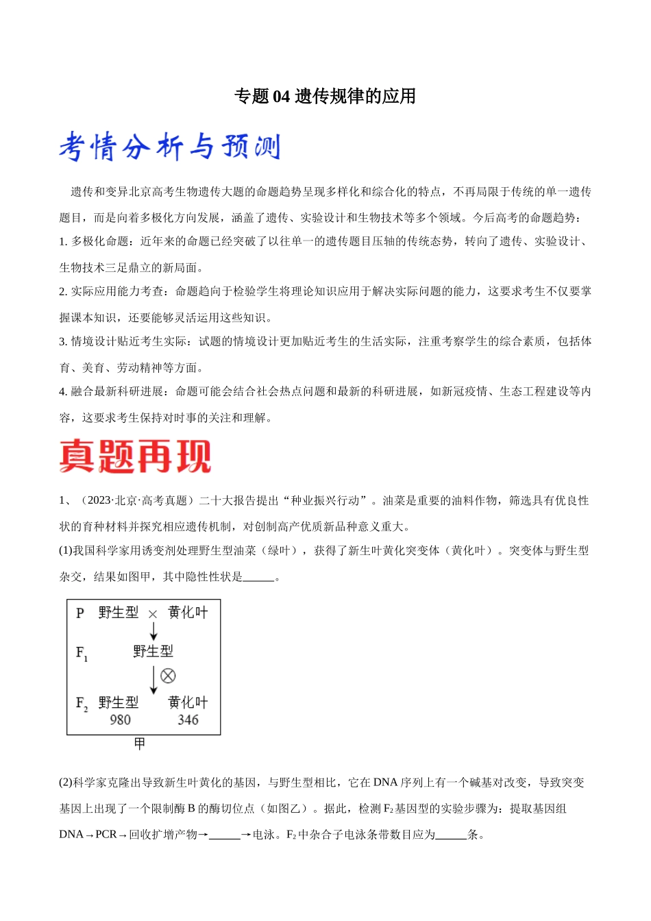 专题04 遗传规律的应用(北京卷)(原卷版).docx_第1页