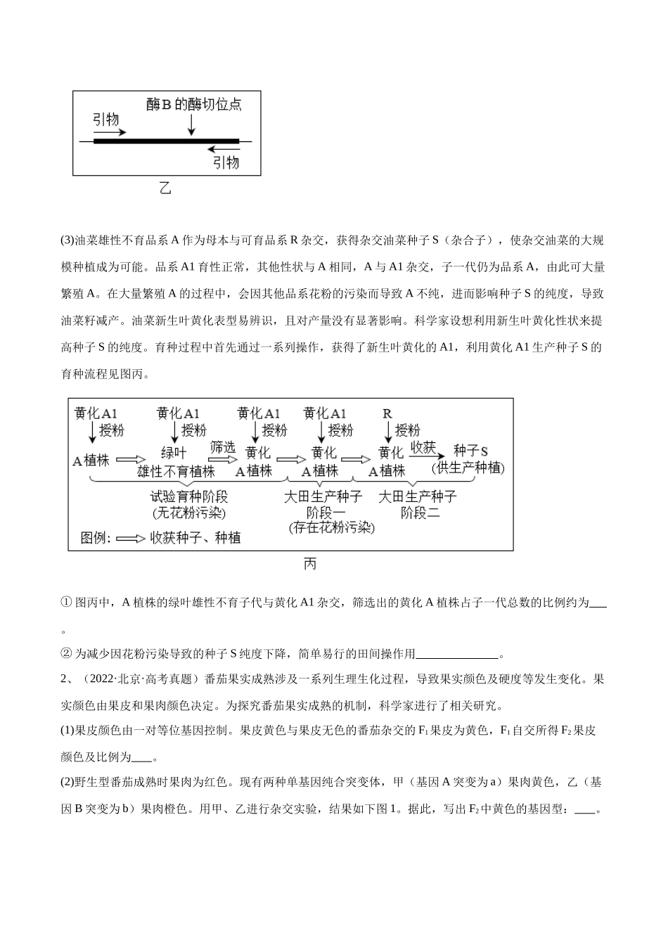 专题04 遗传规律的应用(北京卷)(原卷版).docx_第2页