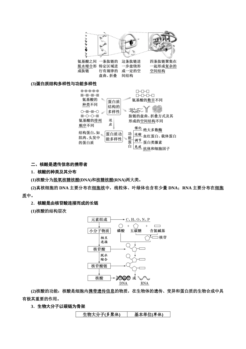专题4 蛋白质和核酸（解析版).docx_第2页