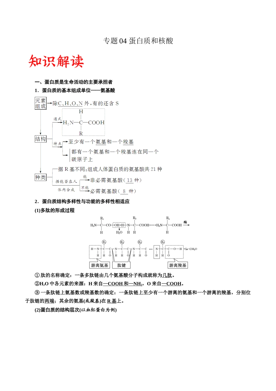 专题4 蛋白质和核酸（原卷版) .docx_第1页