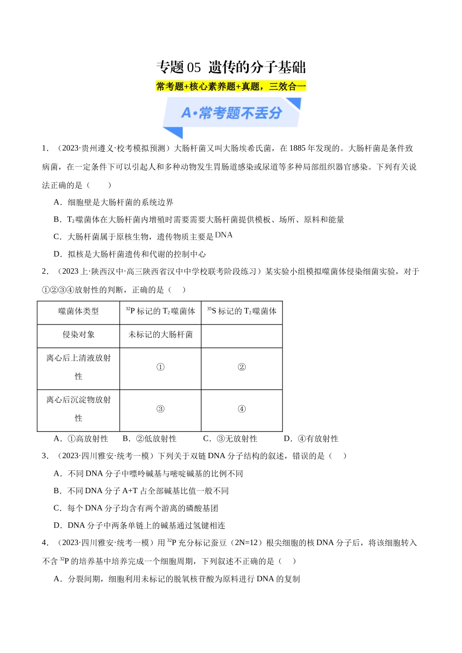 专题05 遗传的分子基础(分层练)(原卷版).docx_第1页