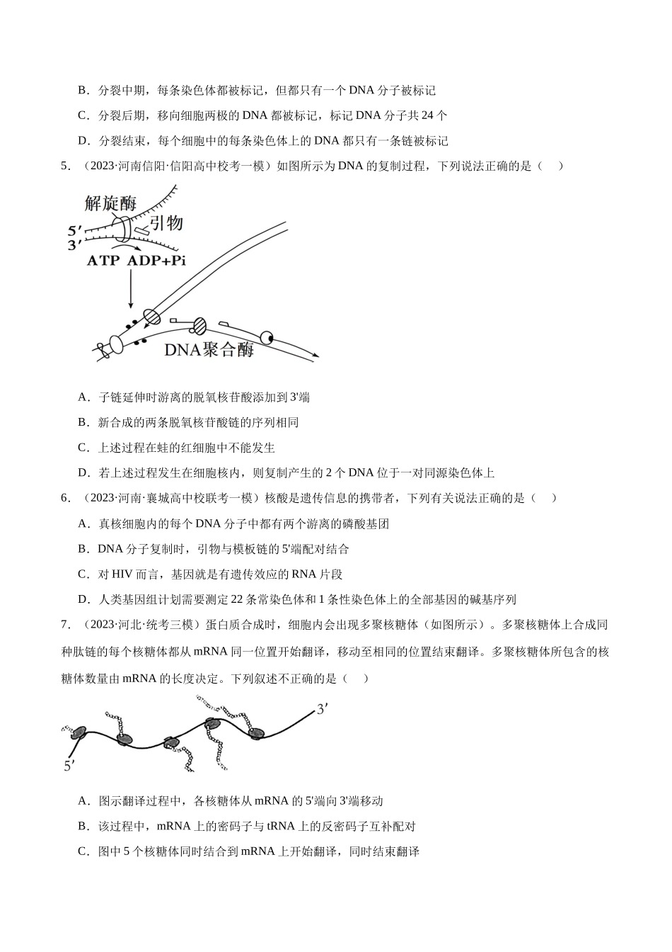 专题05 遗传的分子基础(分层练)(原卷版).docx_第2页