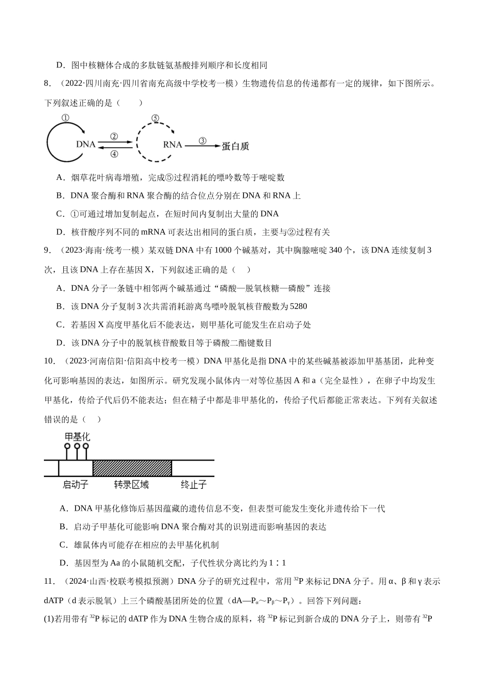 专题05 遗传的分子基础(分层练)(原卷版).docx_第3页