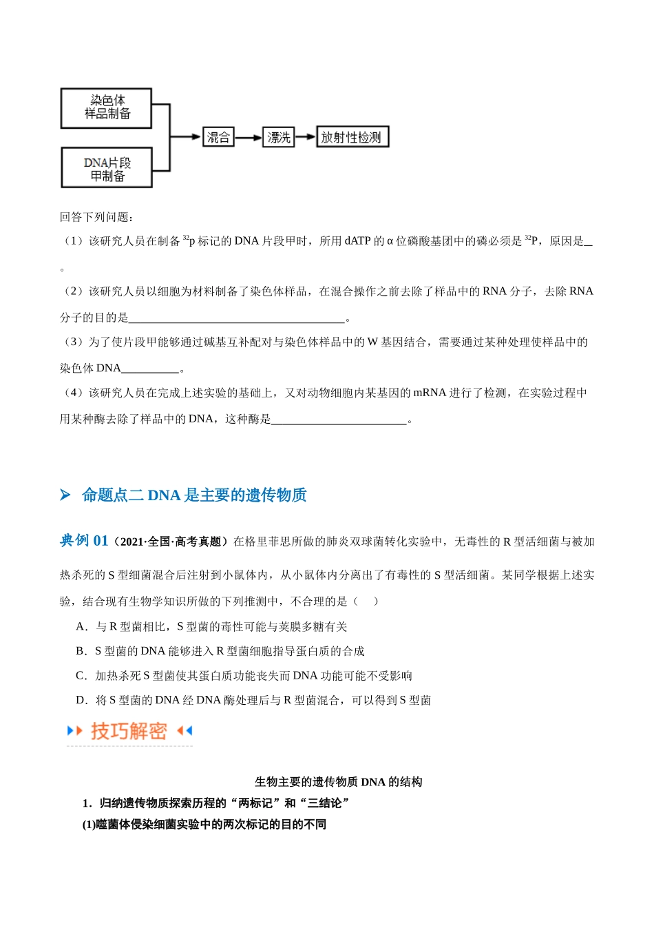 专题05  遗传的分子基础（讲义）（原卷版）.docx_第3页