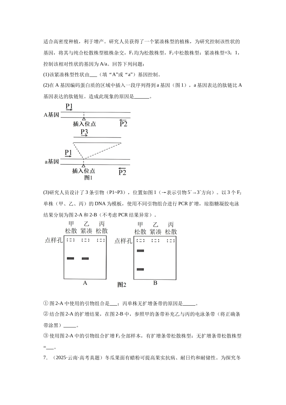 专题05  遗传的基本规律与遗传的细胞基础（学生版）.docx_第3页