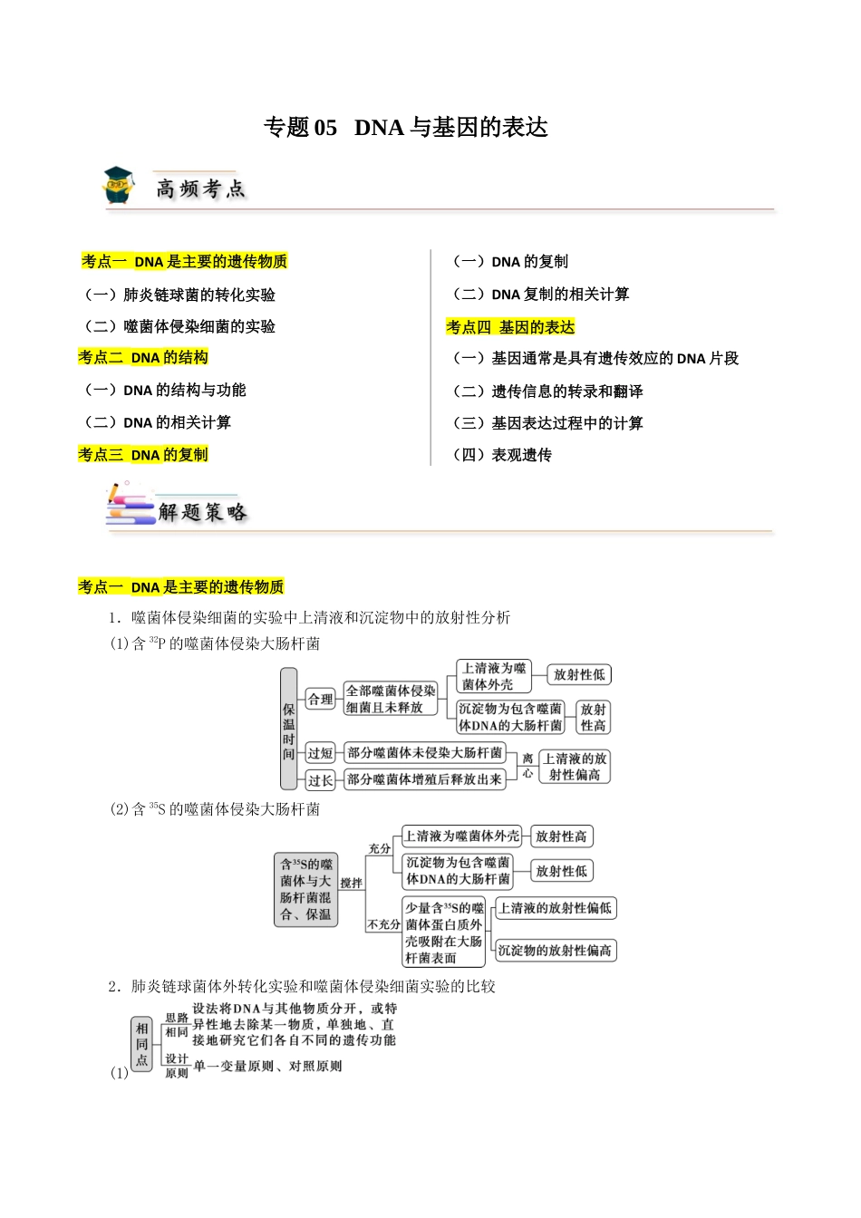 专题05 DNA与基因的表达(原卷版).docx_第1页