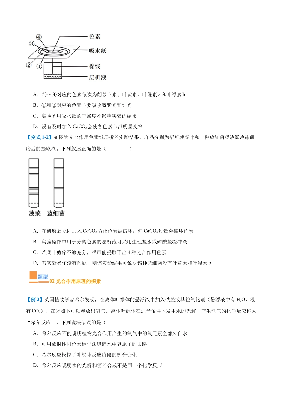 专题05 光合作用（9大题型）（学生版）.docx_第2页