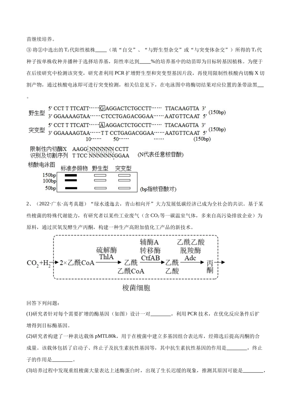 专题05 基因工程(广东卷)(原卷版).docx_第2页